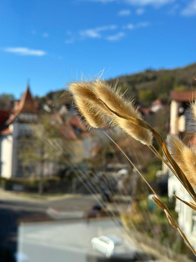 Turm.Blick Lägenhet Goslar Exteriör bild